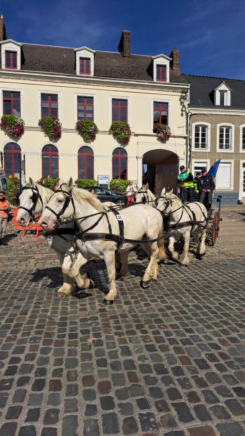Gite La Grange 8Personnes Au Sein D'Un Elevage De Chevaux Brucquedal Dış mekan fotoğraf